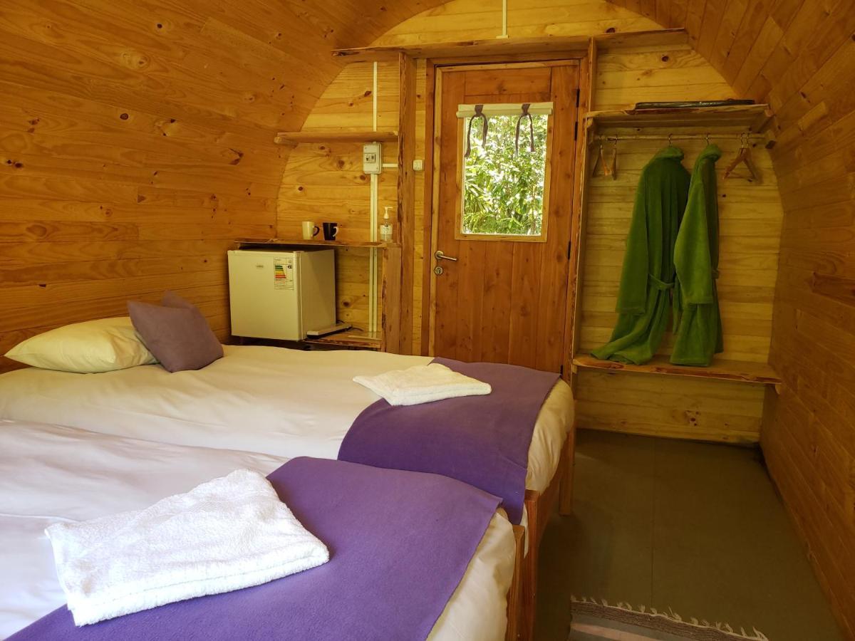Hotel Huincaterra à Villarrica Extérieur photo